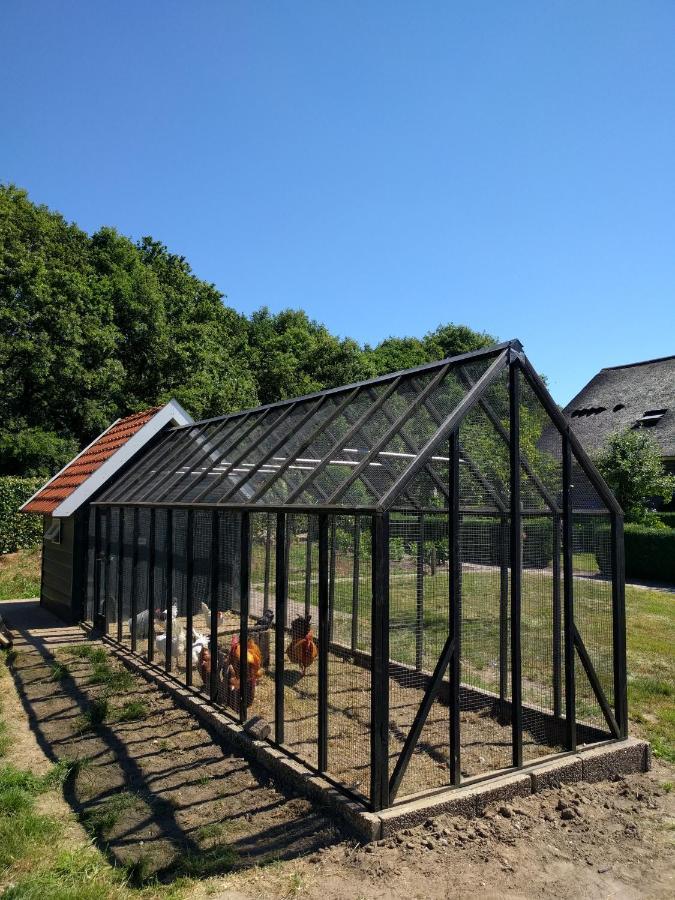 Bed & Breakfast Agnetenhoeve *