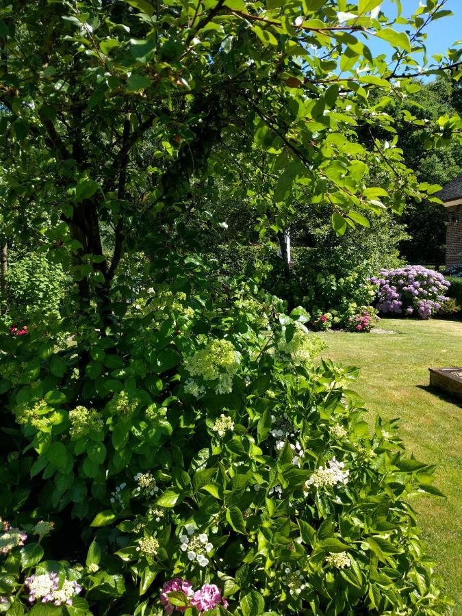 Agnetenhoeve Bed & Breakfast